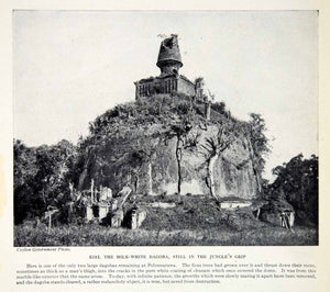 1924 Print Kiri Dagoba Polonnaruwa Ficus Trees Chunam Sinhalese Sri Lanka XGTC9