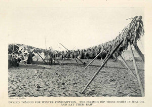 1913 Halftone Print Drying Tomcod Winter Consumption Eskimos Alaska Eat Raw XGU4