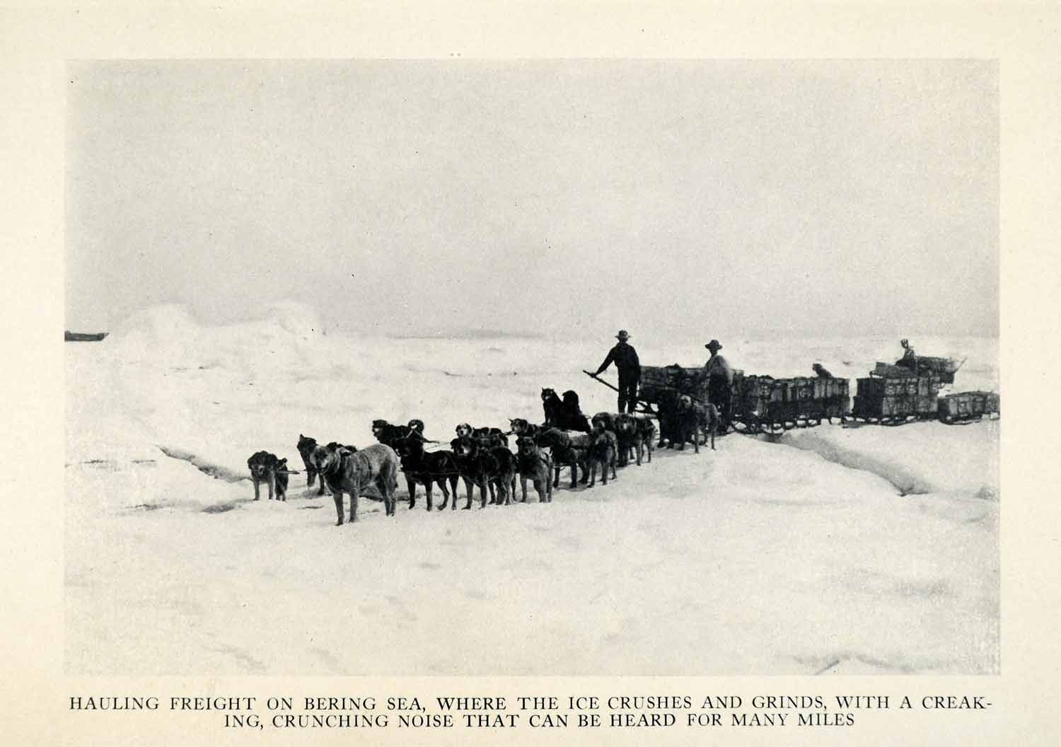 1913 Halftone Print Hauling Freight Bering Sea Ice Crunch Grind Alaska Dog XGU4