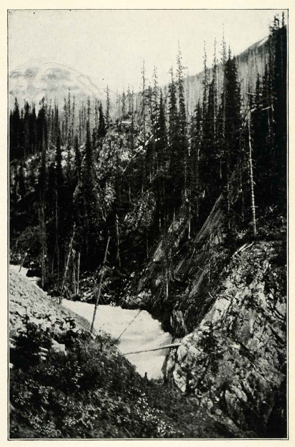 1901 Print Kicking Horse Pass Yoho National Park Canada River Nature XGU5