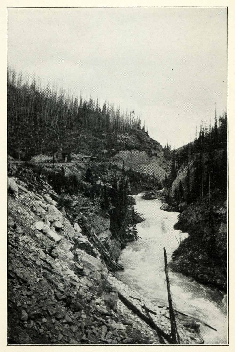 1901 Print Kicking Horse Pass River Yoho National Park Canada Forest XGU5