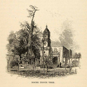 1888 Wood Engraving Noche Triste Tree Sad Night Cathedral Architecture XGU6