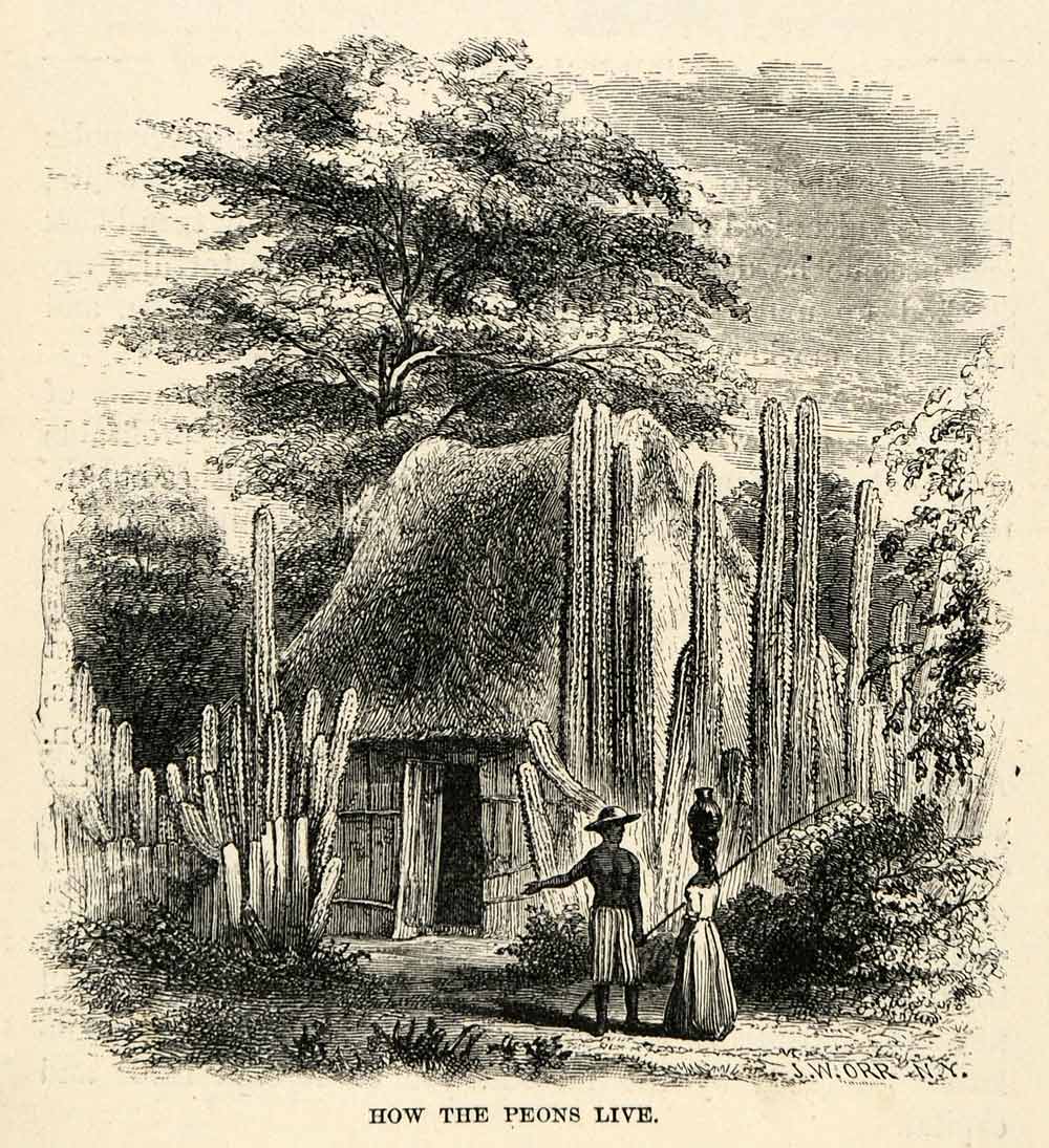 1888 Wood Engraving Peons Live Cacti Natives Servant Landscape Housing XGU6