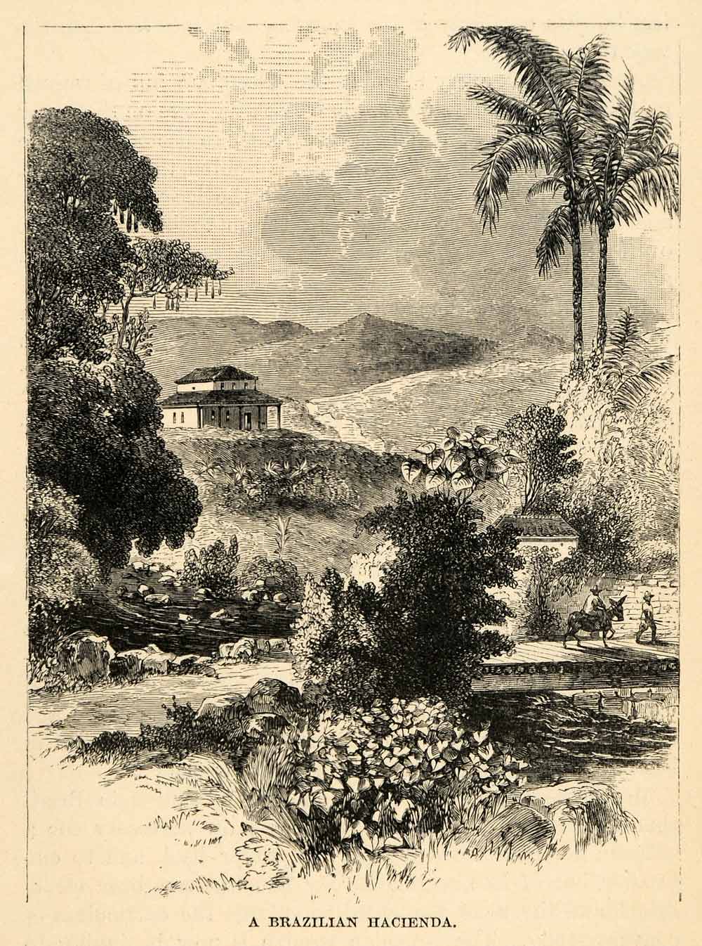 1888 Wood Engraving Brazilian Hacienda Landscape Estate Plantation Rio XGU6