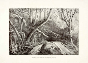 1902 Print Cascade Waterfall Sierra Paricis Amazon Brazil South America XGUA2