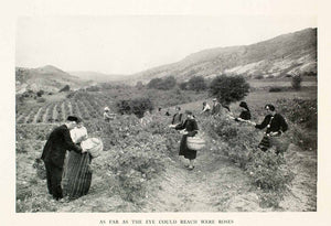 1933 Halftone Print Rose Valley Pickers Bulgaria Balkan Mountains Oil XGUA4