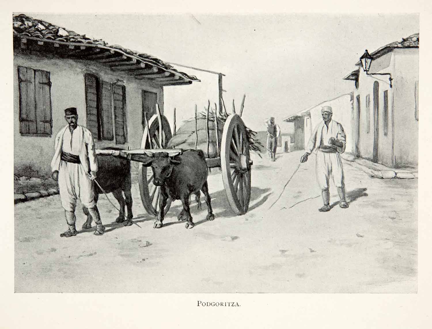 1904 Print Podgoritza Podgorica Montenegro Oxen Wagon Cart Street Turban XGUA8