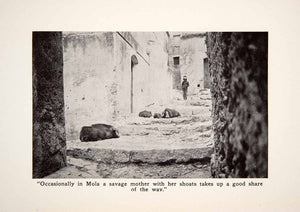 1912 Print Mola Shoats Pigs Deserted Village Sicily Italy Cityscape XGUB7