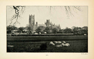 1902 Print Ely England Church Cathedral Historic Landscape Architecture XGUC8