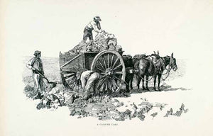 1891 Wood Engraving Caliche Cart Salitre Sodium Nitrate Horses Workers XGVA2