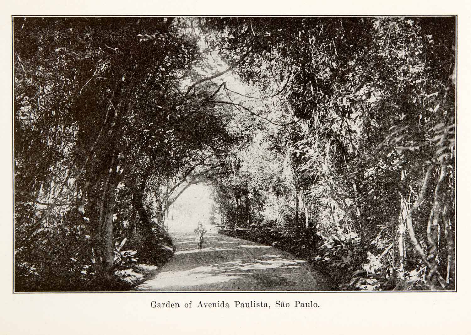 1924 Print South America Garden Avenida Paulista Woods Street Historic XGVA7