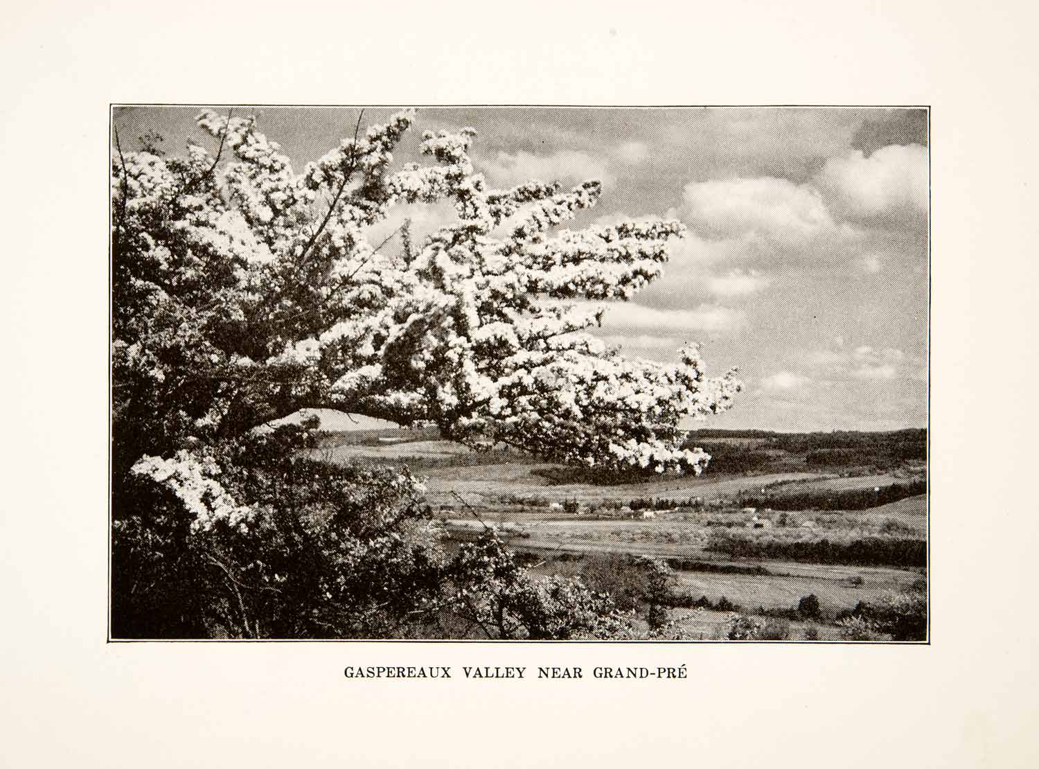 1930 Print Gaspereaux Valley Grand Pre Nova Scotia Canada Tree Blossom XGVB4