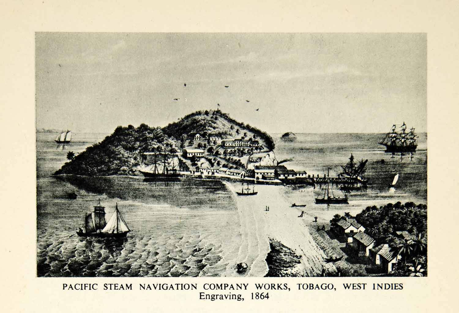 1944 Rotogravure Pacific Steam Navigation Company Works Tobago West Indies XGVC3