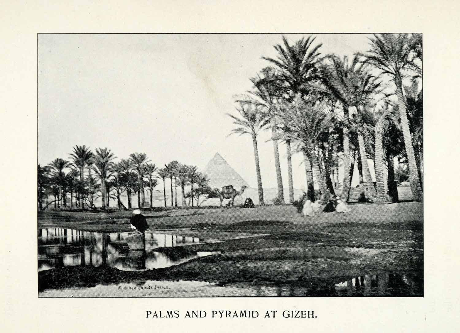 1897 Print Pyramid Giza Egypt Landscape Palms Oasis Caravan Camel Travel XGW2