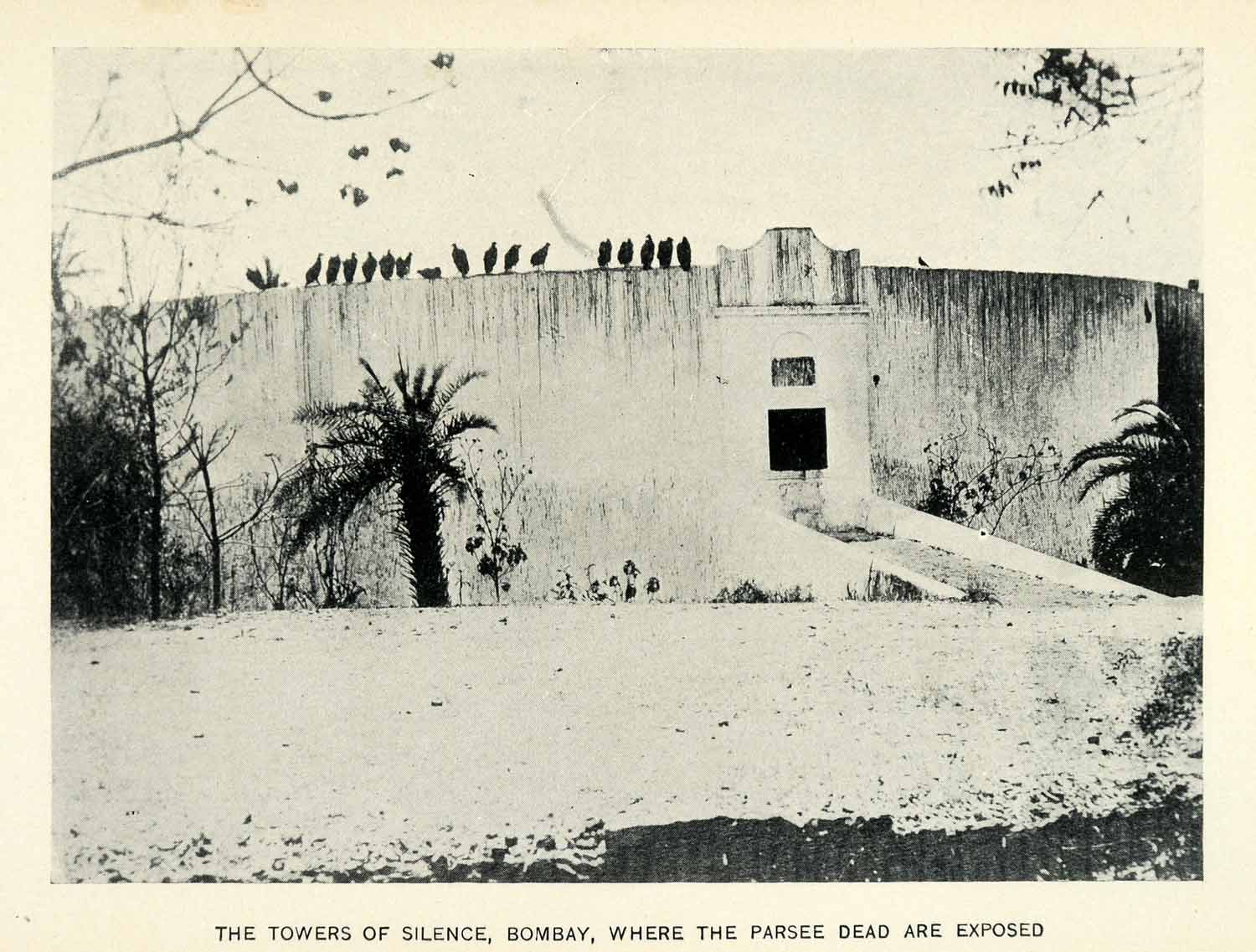 1906 Print Towers Silence Bombay India Parsi Zoroastrian Vulture Corpse XGW3