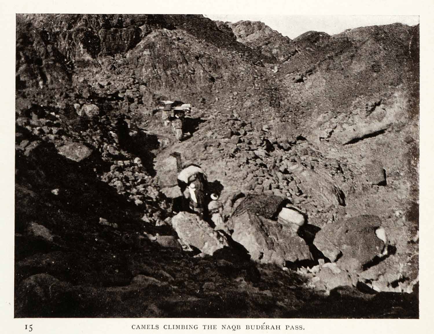 1906 Print Camels Climbing Naqb Buderah Pass Mountains Rocks Terrain Travel XGW4