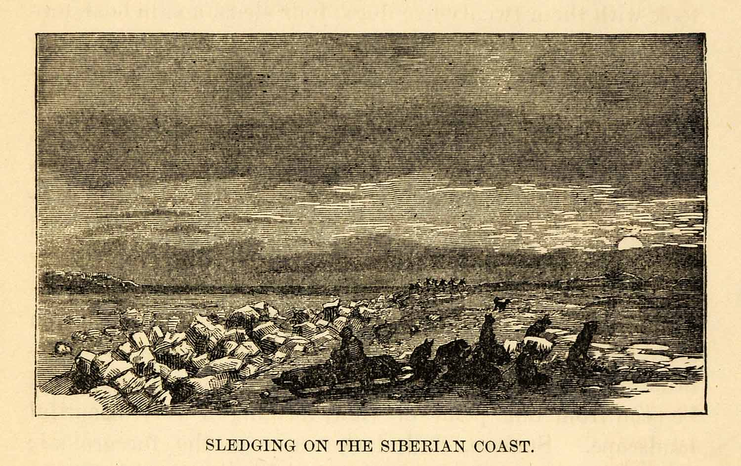 1882 Steel Engraving Dog Sledging Sledding Siberian Coast Arctic Explorers XGW9