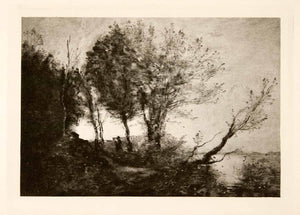 1902 Photogravure Tree Nature Italy Landscape Outdoors Art Path Forest XGWA1