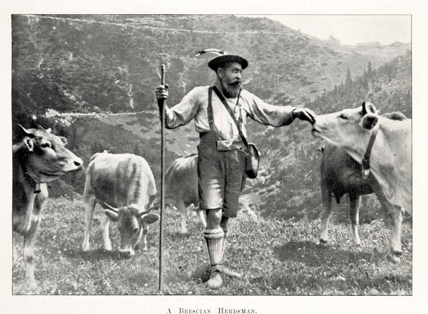 1902 Print Brescian Herdsman Cattle Lederhosen Portugal Agriculture Pipe XGWA1