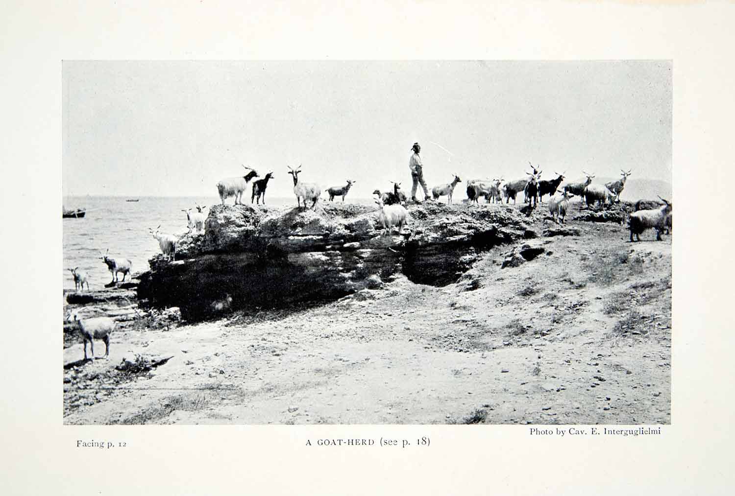 1904 Print Goat Herd Sicily Italy Animal Wildlife Landscape Rock Coast XGWA3