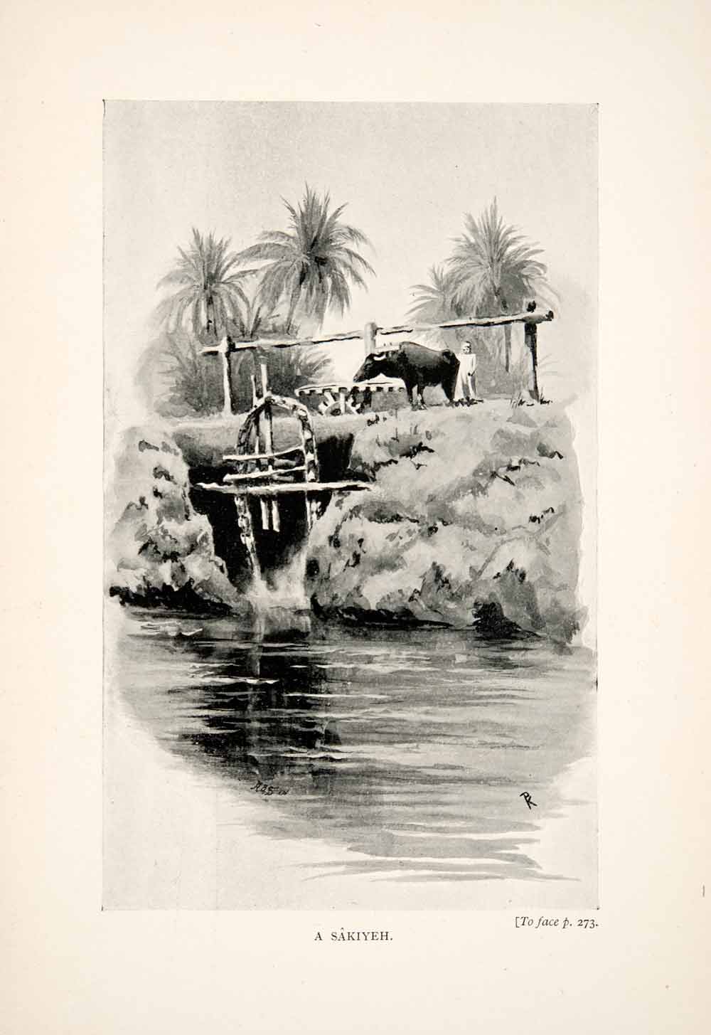 1898 Print Nile Valley Derr Egypt Egyptian Sakiyeh Water Well Wheel River XGWA8