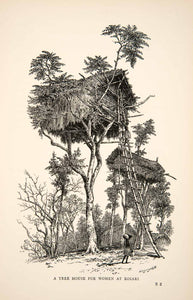 1895 Wood Engraving Tree House Native Women Koiari New Guinea Edward XGWB1