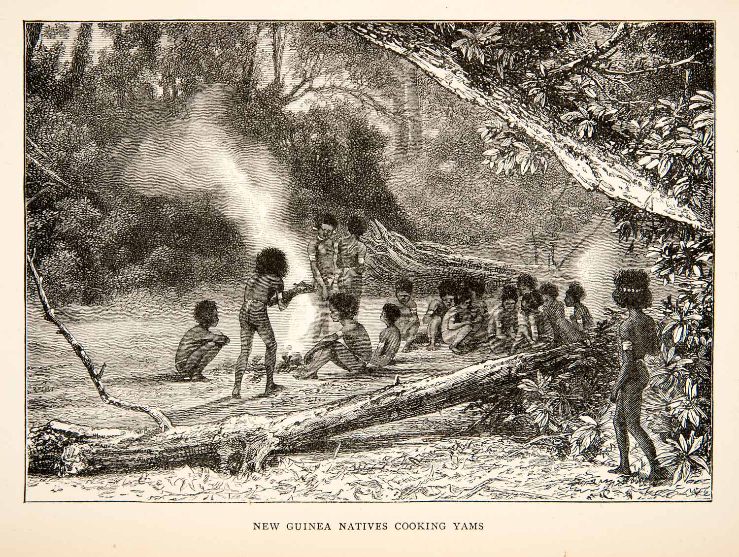 1895 Wood Engraving Native Tribe Cook Forest Jungle Landscape New Guinea XGWB1