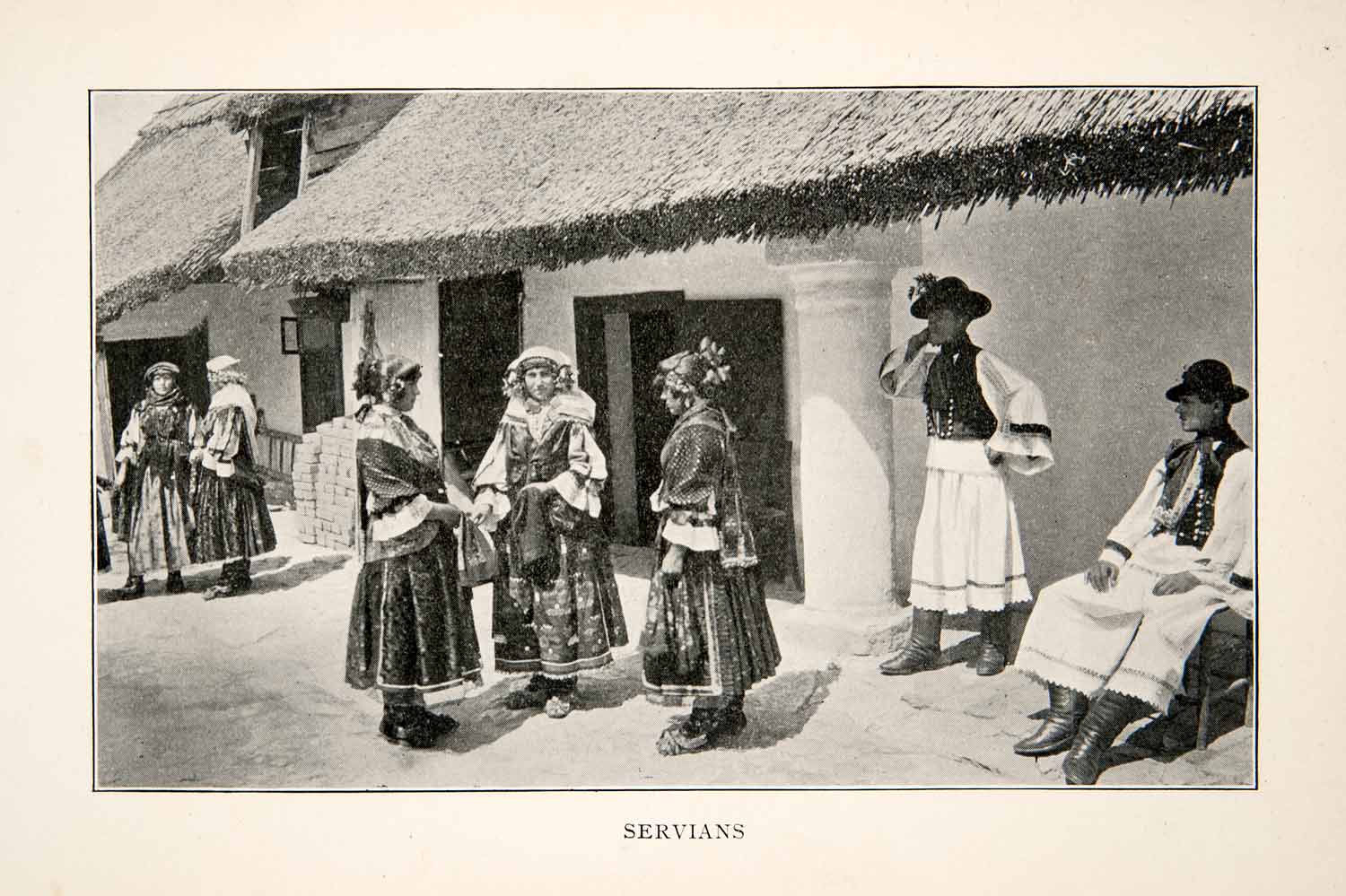 1903 Print Servians Serbians Hungary Magyar Ethnic Minority Traditional XGWB6