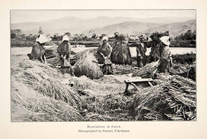 1902 Print Women Harvest Japan Portrait Rice Mountain Landscape XGWB7