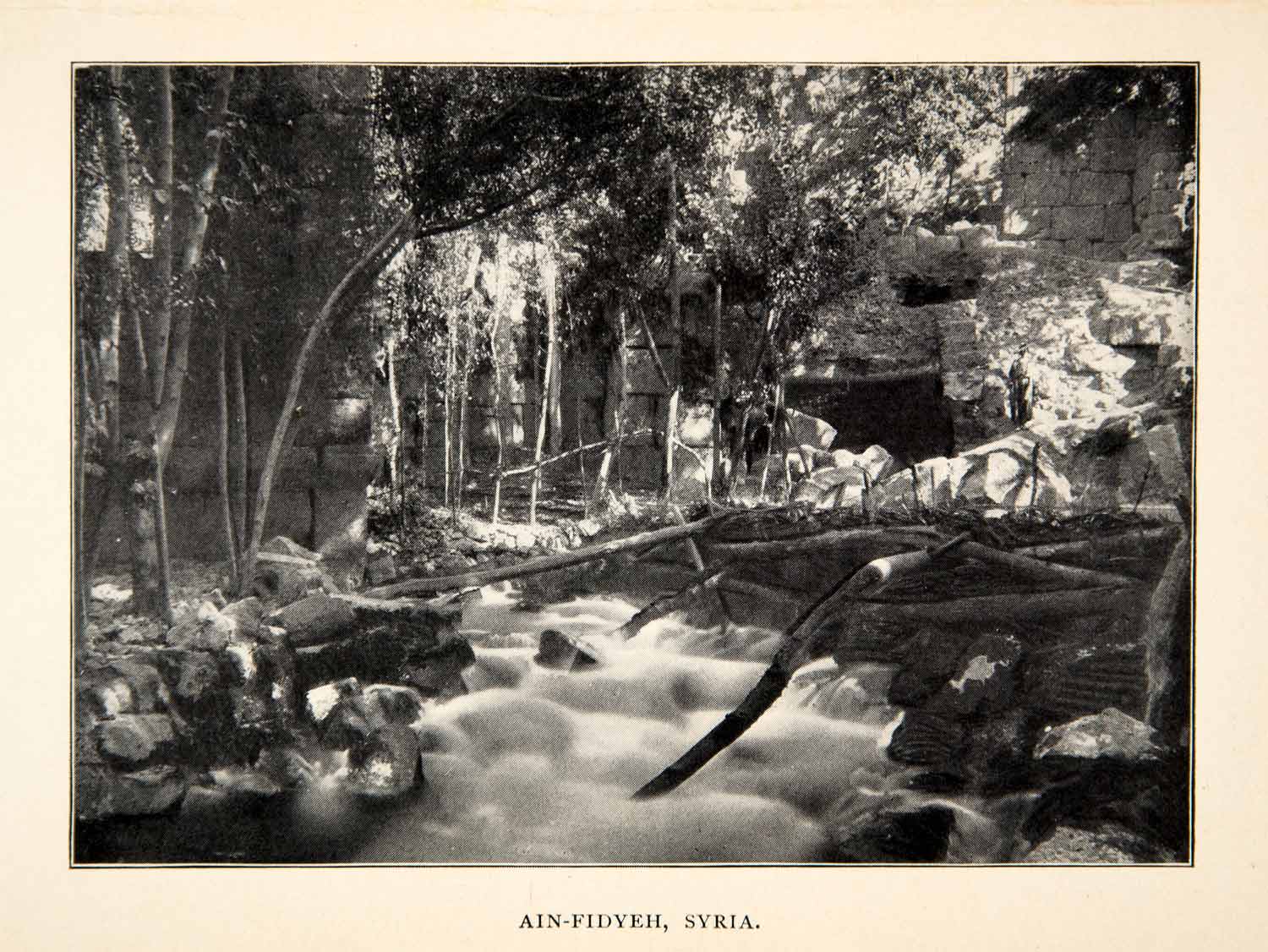 1900 Print Ain-Fidyeh Syria Stream Grove Scenic Landscape Forest Brook XGWC7