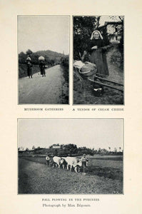 1927 Print France Agriculture Farm Cheese Mushroom Plow Pyrenees Oxen Field XGX3