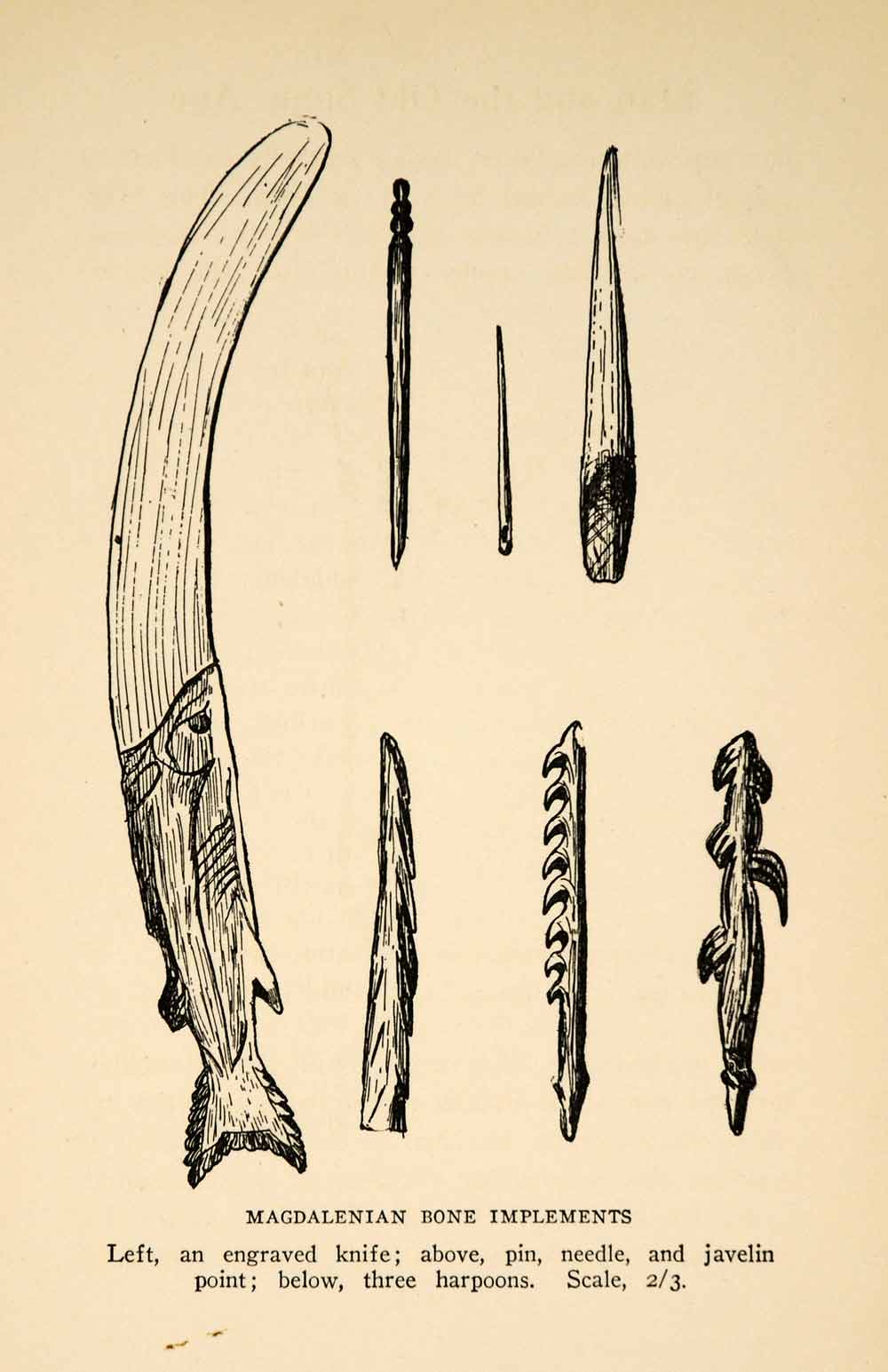 1927 Print Magdalenian Bone Implement Tool Knife Needle Javelin Harpoon XGX3