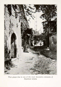 1926 Print Istanbul Stamboul Constantinople Turkey Street Grapevine XGXA3