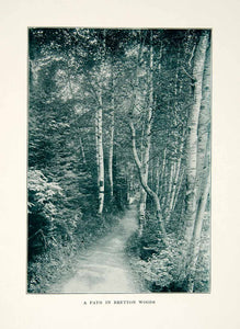 1914 Print Path Bretton Woods North Hampshire White Mountain National XGXC2