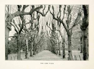 1914 Print Lime Walk Avenue Adlington Hall Cheshire England Gardens Trees XGXC2