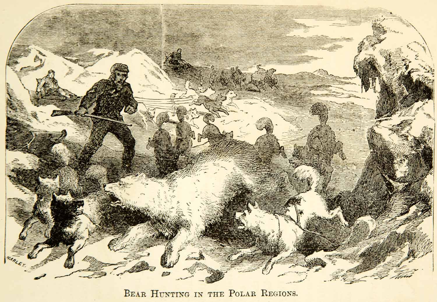 1873 Wood Engraving Polar Bear Hunt North Pole Exploration Expedition XGXC4