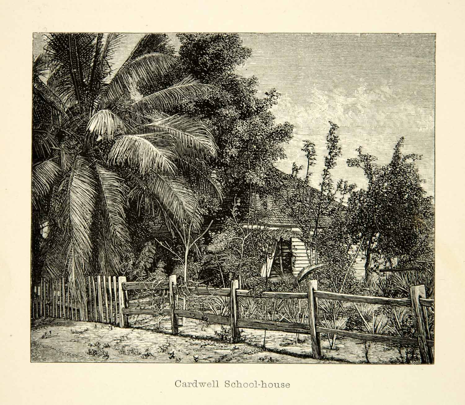 1887 Wood Engraving Cardwell Queensland Australia School House Wooden XGXC6