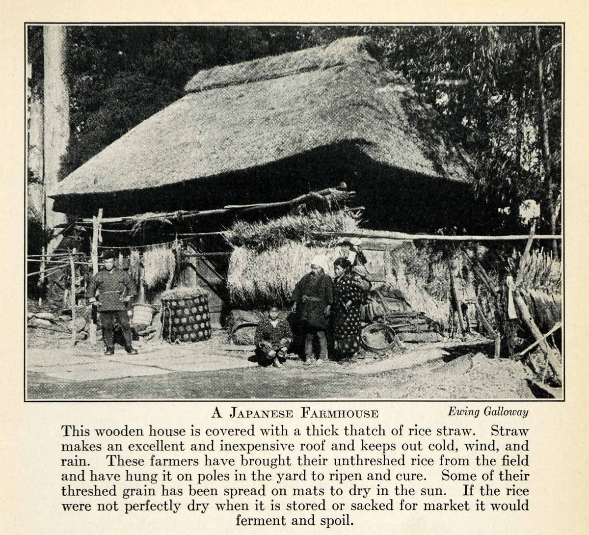 1937 Print Japan Asia Agriculture Farming Farmhouse Costume Rice Produ ...