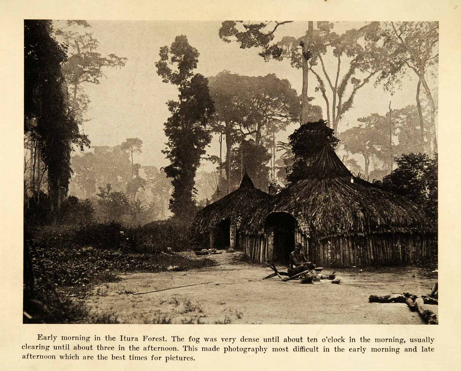 1931 Print Jungle Mist Tanzania Mahale Mountain National Park Itura XGY5