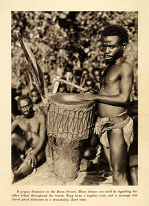 1931 Print Pygmy Drummer Itura Forest Mahale Mountain National Park XGY5