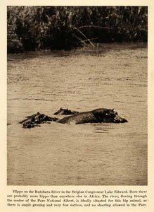 1931 Print Hippopotamus Congo Rutshuru River Lake Edward Rutazinge Africa XGY5