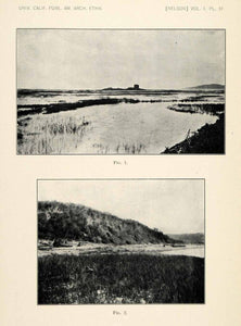1910 Print Ellis Landing Shellmound Brooks Island Marsh California XGZ9