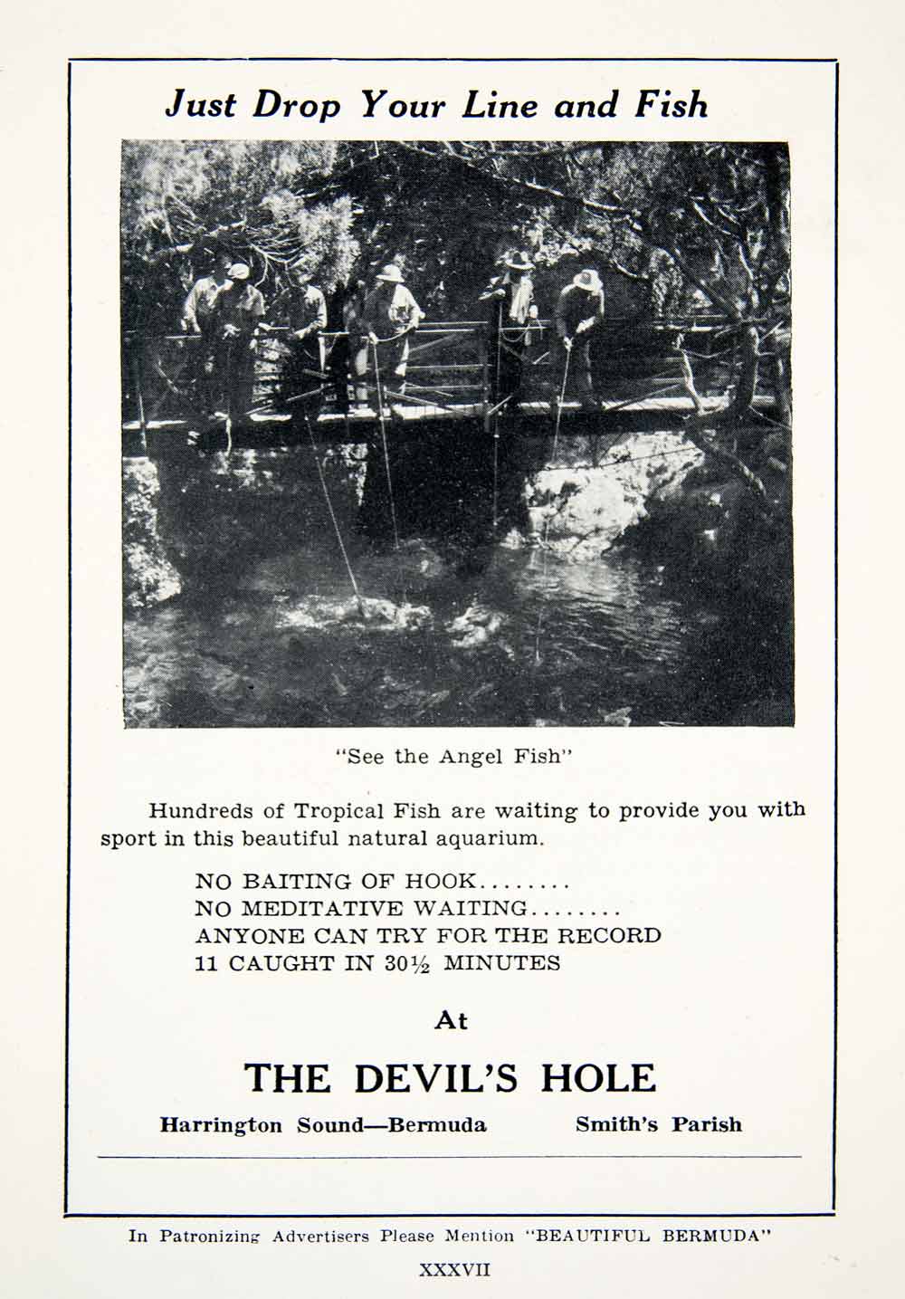 1947 Ad Devils Hole Tropical Fishing Fishermen Smith Harrington Sound XGZA6
