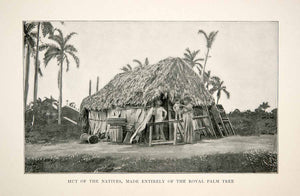 1898 Print Cuba Republic Caribbean Hut Natives Palm Tree House Family XGZA7