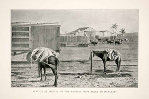 1898 Print Cuba Republic Caribbean Donkey Station Jaruco Railway Regla XGZA7