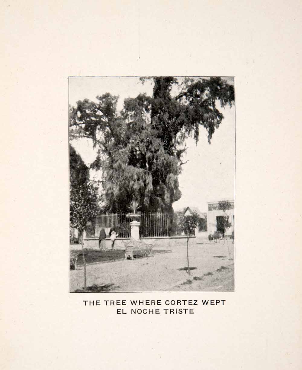 1906 Print Noche Triste Spanish Conquest Mexico Cortez Weeping Tree Battle XGZB8