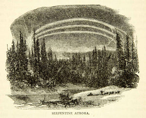 1884 Wood Engraving Serpentine Aurora Borealis Polar Arctic Forest XGZC7