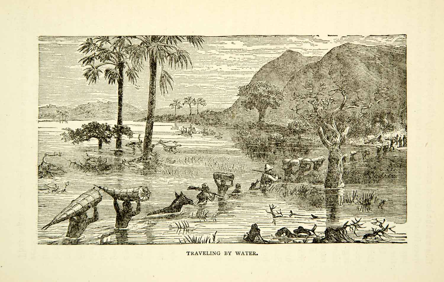 1884 Wood Engraving Water Travel Tropical Landscape Expedition Tree Nature XGZC7