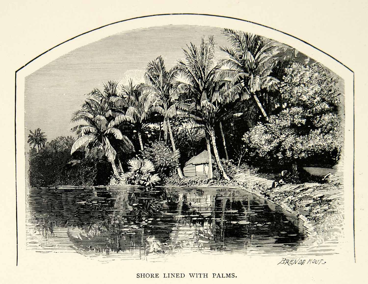 1890 Wood Engraving Shore Coast Sri Lanka Ceylon Palm Trees India Lake XGZC8