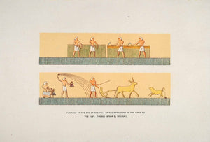 1903 Chromolithograph Valley Kings Thebes Egypt Agriculture Sow Defecation XHA3